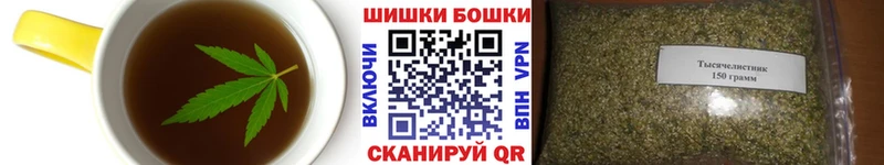 как найти   Щигры  Canna-Cookies конопля 