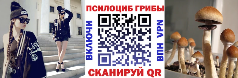 Галлюциногенные грибы MAGIC MUSHROOMS  Щигры 